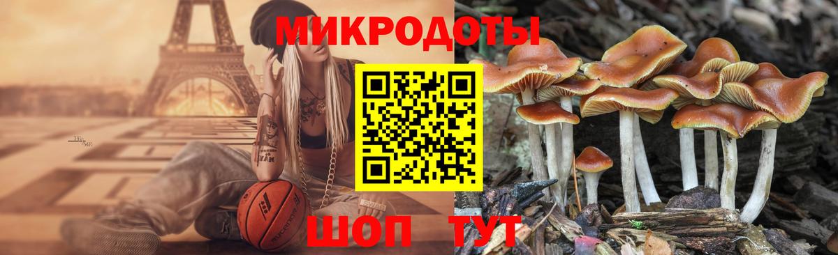 Дербент  Псилоцибиновые грибы мицелий  Псилоцибиновые грибы ЛСД  Вход с VPN 